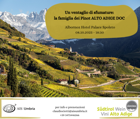 Un ventaglio di sfumature: la famiglia dei Pinot Alto Adige DOC