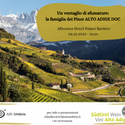 Un ventaglio di sfumature: la famiglia dei Pinot Alto Adige DOC