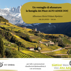 Un ventaglio di sfumature: la famiglia dei Pinot Alto Adige DOC Un ventaglio di sfumature: la famiglia dei Pinot Alto Adige DOC