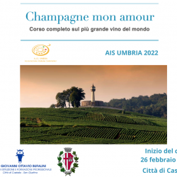 Champagne Mon Amour Champagne Mon Amour