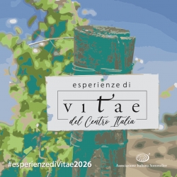 Esperienze di Vitae del Centro Italia 2026