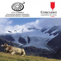 L'ombra e il sole della Valtellina L'ombra e il sole della Valtellina