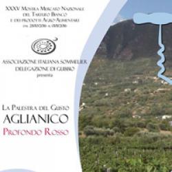 La Palestra del Gusto - Aglianico La Palestra del Gusto - Aglianico