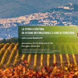 La Syrah a Cortona - da vitigno internazionale a vino di territorio