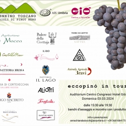 Eccopinò in Tour Eccopinò in Tour