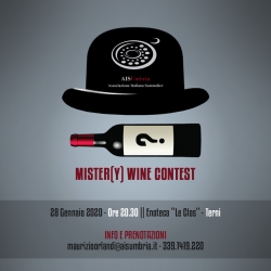 MISTER(Y) WINE CONTEST MISTER(Y) WINE CONTEST