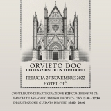 ORVIETO DOC